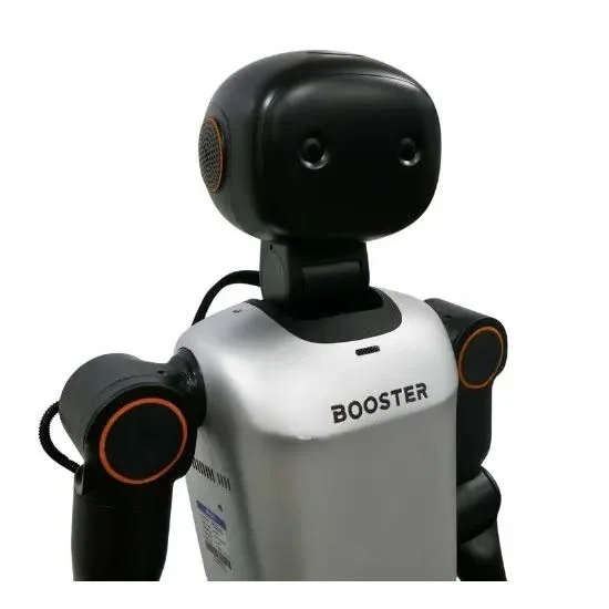 Booster Robotics K1
