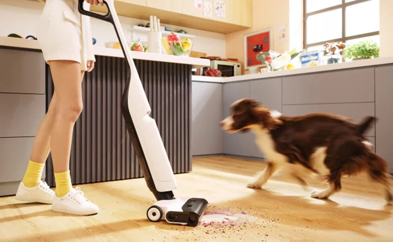 Xiaomi Roborock Flexi Lite