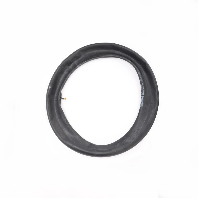 Inner Tube R0207049-00