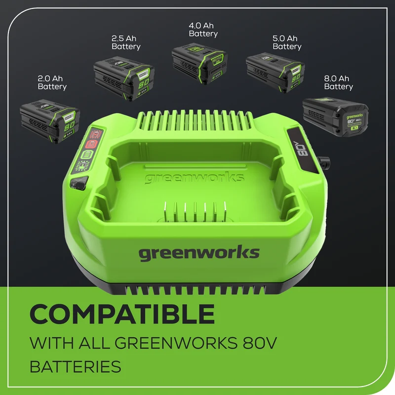 80V 2A Standard Charger