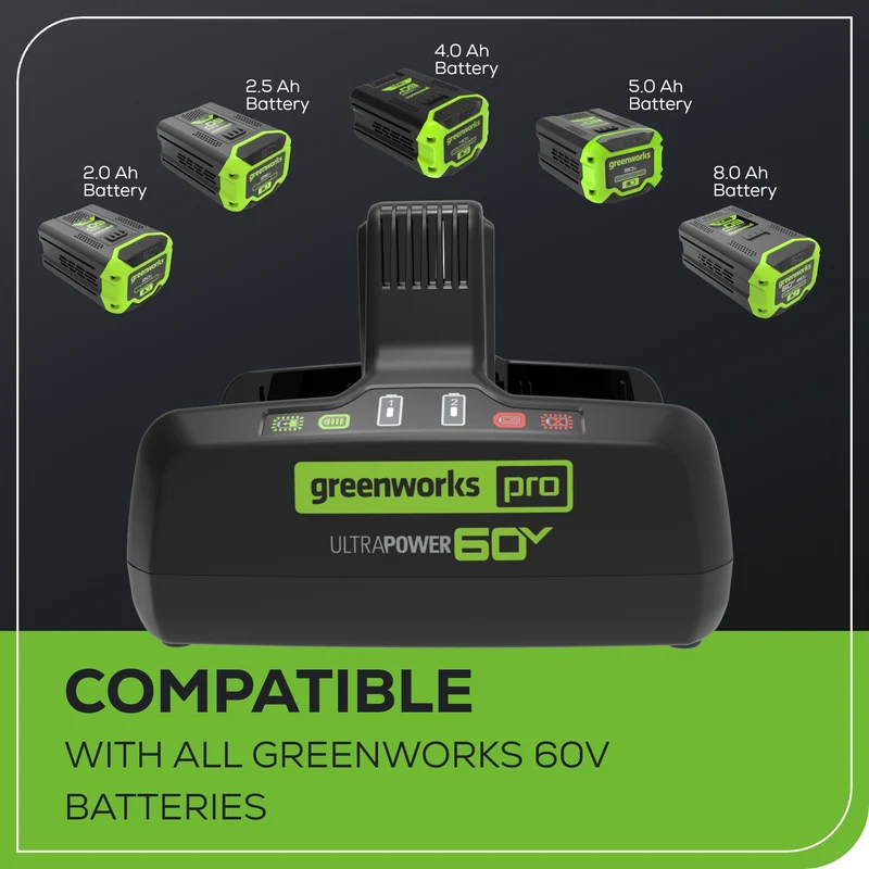 60V 10A UltraPower Dual-Port Battery Charger